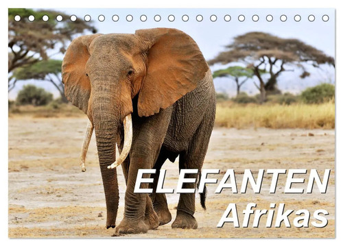 Elefanten afrikas - elefanten,