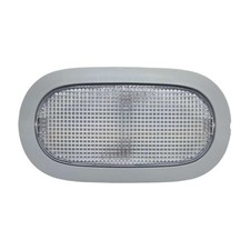 Renault Clio Innenleuchte -