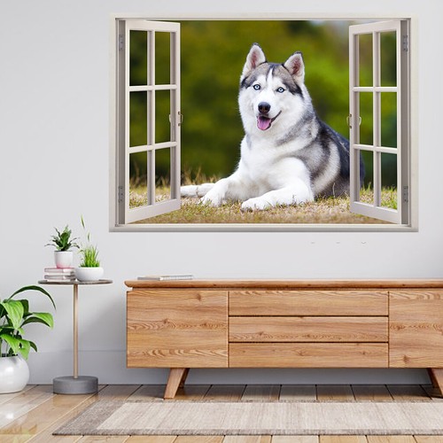 Portrait siberian husky - portrait,