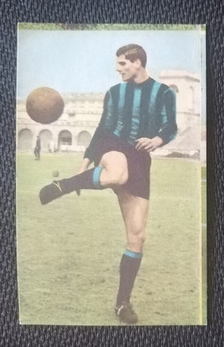Bild 262 sicker giacinto - 262,