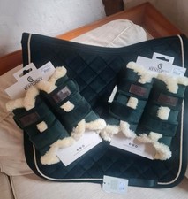 Kentucky Velvet Pine Green