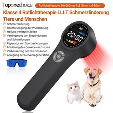 980nm NIR Physiotherapie Soft Laser Vet Therapie Gerät für Haustier Katze Hund.