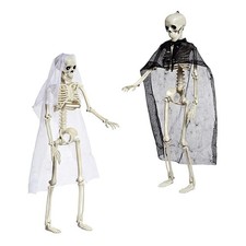 Halloween Menschliches Skelett