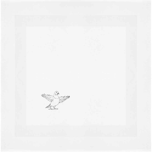 Pigeon with wings spread - 'pigeon,