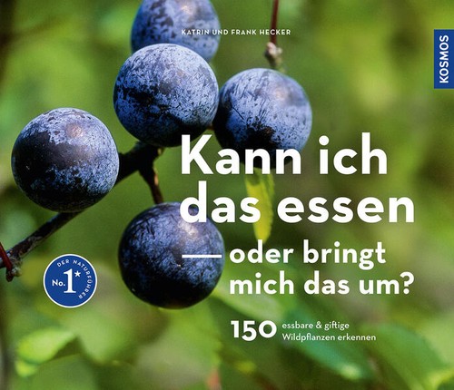 Kann ich das - oder, bringt