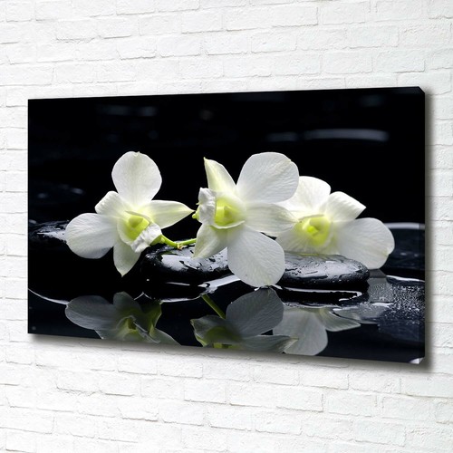 Leinwandbild kunst druck - leinwandbild, kunst-druck