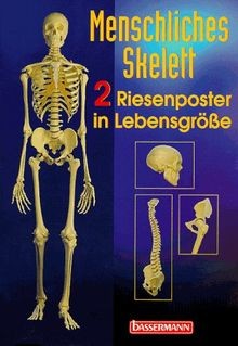 Menschliches skelett von - skelett,