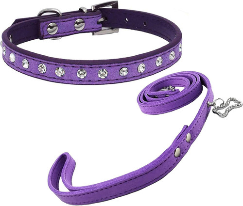 Netter diamante welpen - netter,