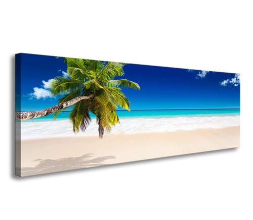 Bilder leinwand 120 palme - leinwand, 40