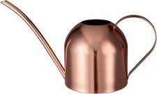 1L