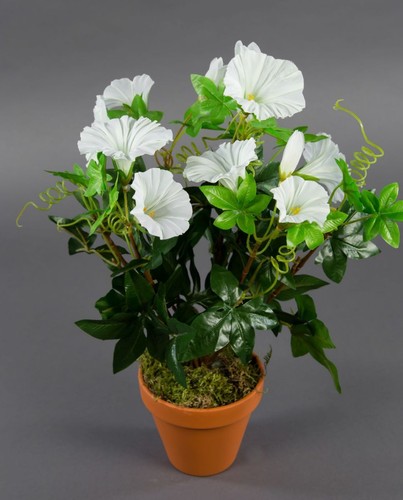 Petunienbusch 40cm weiß - , im