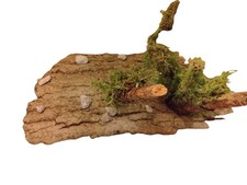 Reptile Riowood Versteck mit