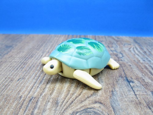 Wasser schildkröte tiere - wasser,