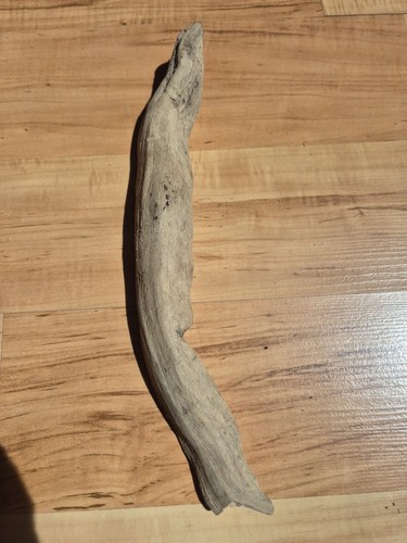 Sehr selten korios - sehr, skulptur