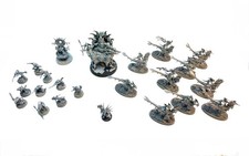 Warhammer AoS Seraphon Skink Armee