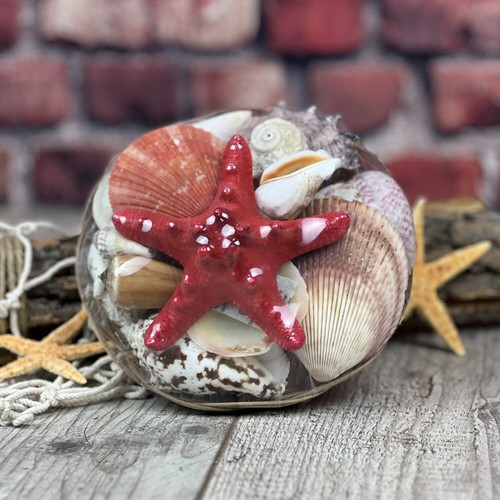 Muschelkorb 15cm mit - , roten
