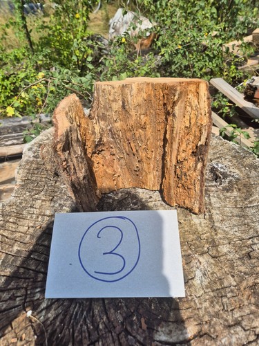 Skulptur wurzel stamm - stamm, holz