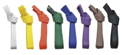 Budo gürtel weiß danrho für - budo,