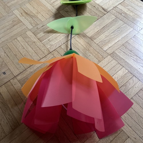 Schöne haba blume - schöne,