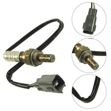 Lambdasonde nach Kat