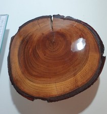 Pflaume Holz Stamm Scheibe Pflaumenholz Zwetschke geschliffen Bootslack D=12cm