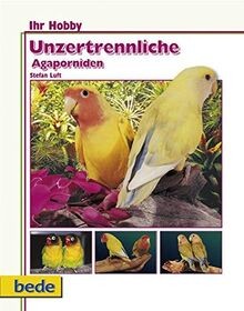 Unzertrennliche agaporniden - unzertrennliche,,