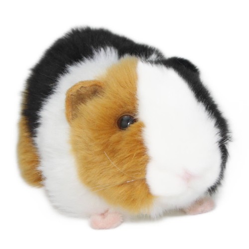 Meerschweinchen plüsch - meerschweinchen,