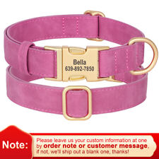 Personalisiertes Hundehalsband