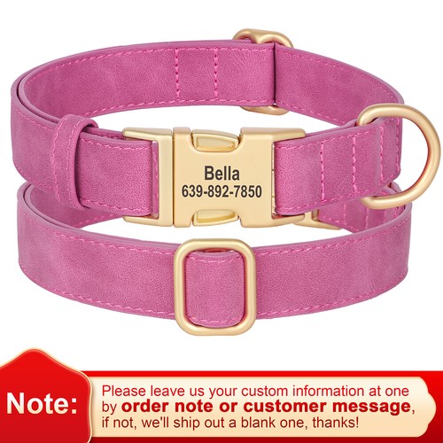 Personalisiertes hundehalsband - personalisiertes,
