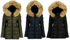 Stone Goose by Geographical