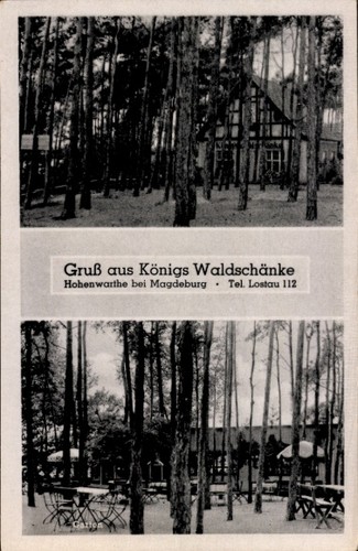 Lostau möser jerichower - möser,