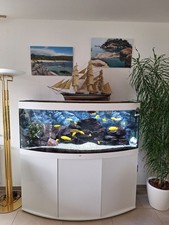 aquarium komplett mit unterschrank gebraucht