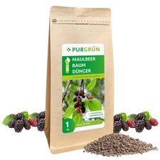 Purgrün Bio Maulbeerbaum