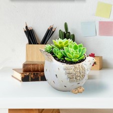 Huhn Statue Pflanzer Pflanze Container Kaktus Miniatur Vase Henne Blumentopf