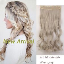 Ein Tressen Clip in 100% Lang