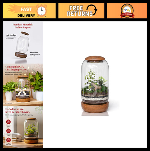 Glass terrarium with natural - glass,