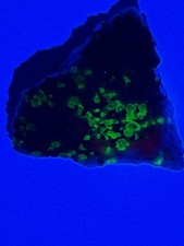 Willemit (Franklinit) auf Calcit,selten USA, Mineralien N° 442/B4 (UV reaktiv)