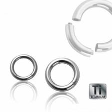 Piercing Titanium Segment Ring
