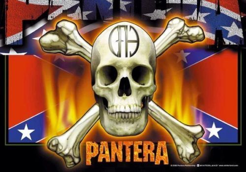 Pantera flagge fahne skull - flagge,