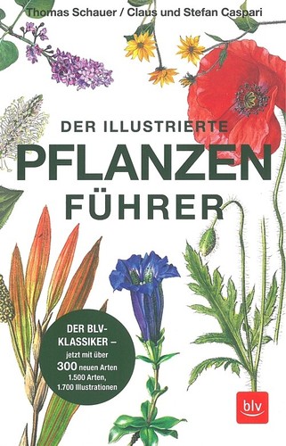 Schauer caspari der - schauer/caspari:,