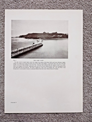 The east cliff upper - the,