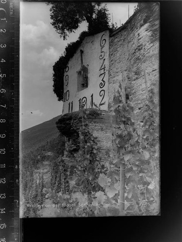 30066431 5553 wehlen mosel - 5553,
