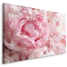Canvas leinwand bilder xxl - bilder,