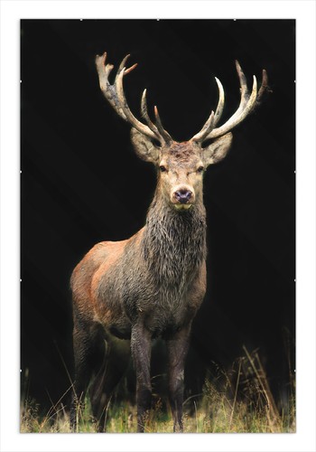 Wallario premium poster - wallario,