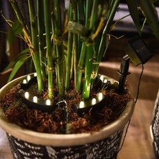 LED Solar Blumen Topf Beleuchtung - 5er Set - Pflanz Kübel Garten Deko Leuchte