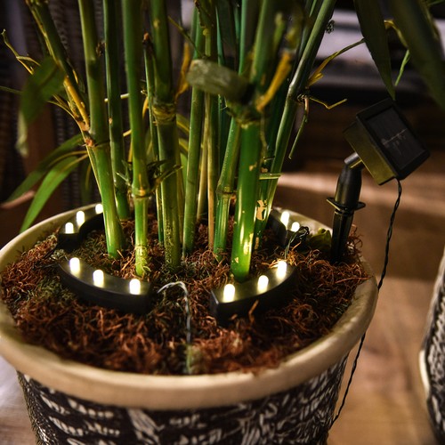 Led solar blumen - led, topf