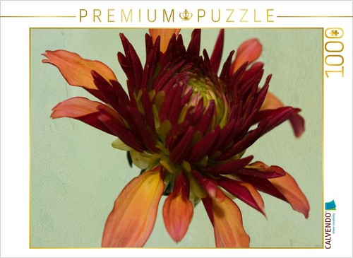 Calvendo puzzle facettenreich - calvendo,