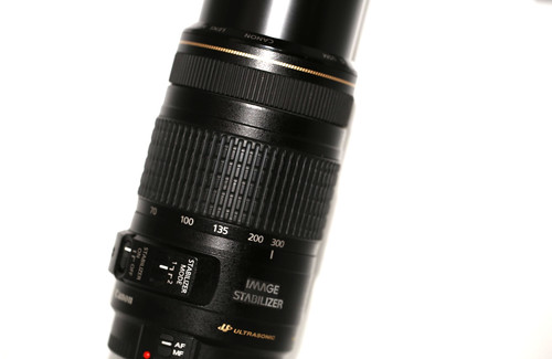 Canon mount 70 300mm - mount,