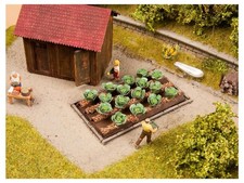 NOCH 13217 Deko-Minis Weißkohl für H0 Modellbahnanlage Gartengestaltung
