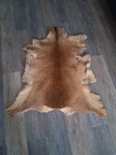 Rehfell Naturfell – Echtfell